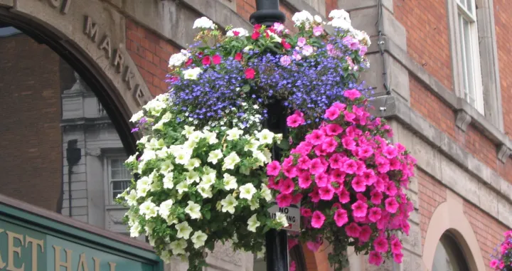 Viseće korpe pune sezonskog cvijeća/