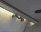 Zmija pronađena u avionu/