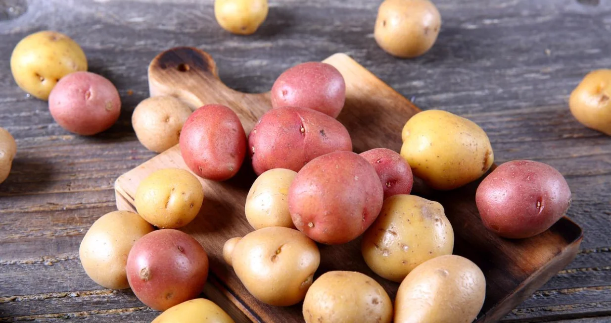 Bijeli i crveni krompir/