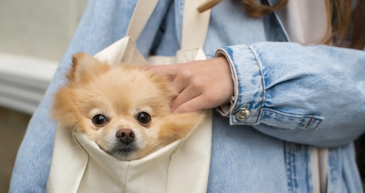 Svi imaju jednu zajedničku crtu/Freepik