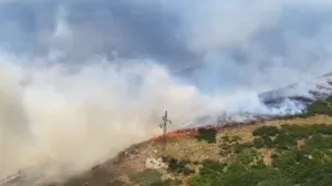 Požar kod Trebinja, Trebinje, vatrena stihija, požarna linija/Rtrs