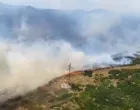 Požar kod Trebinja, Trebinje, vatrena stihija, požarna linija/Rtrs