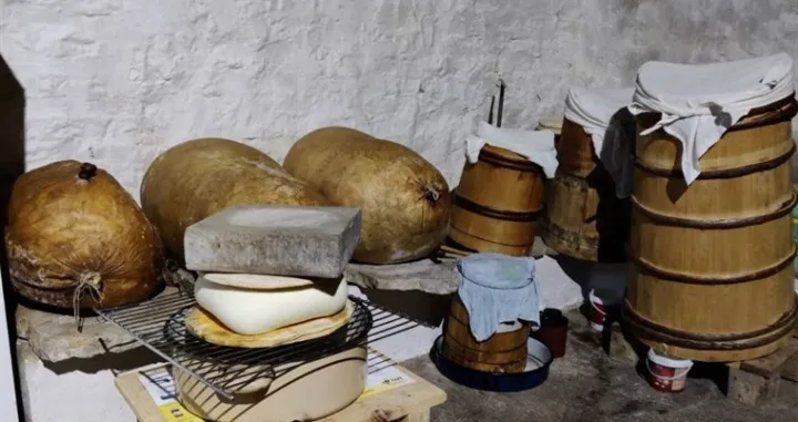 Gatački kajmak ilustracija/