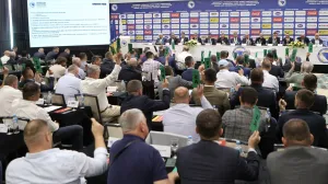 Skupština N/FS Bosne i Hercegovine