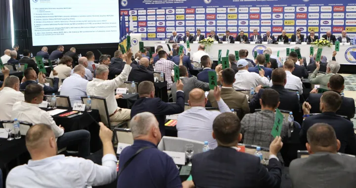 Skupština N/FS Bosne i Hercegovine