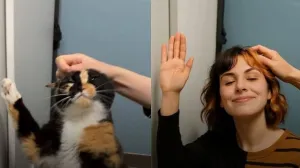 Transformacija koja ostavlja bez teksta/Instagram/screenshot