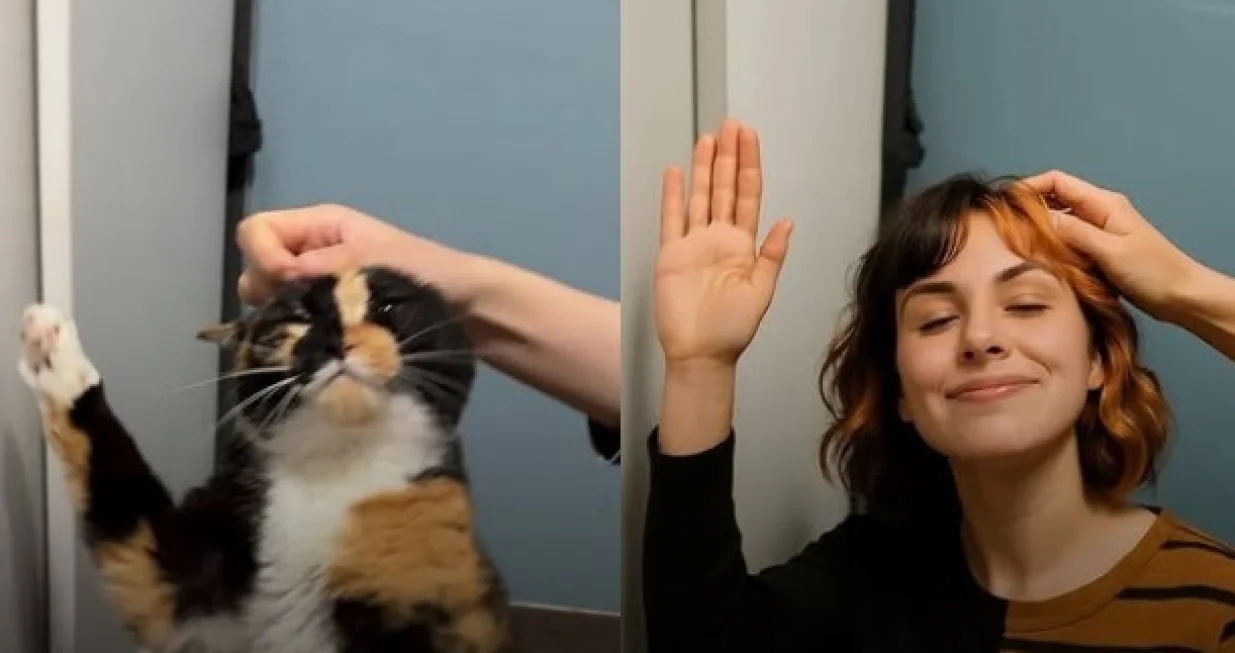 Transformacija koja ostavlja bez teksta/Instagram/screenshot