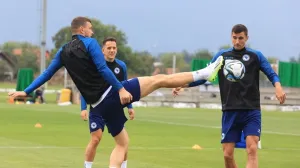 Edin Džeko Amir HadžiahmetovićHrvoje Miličević 