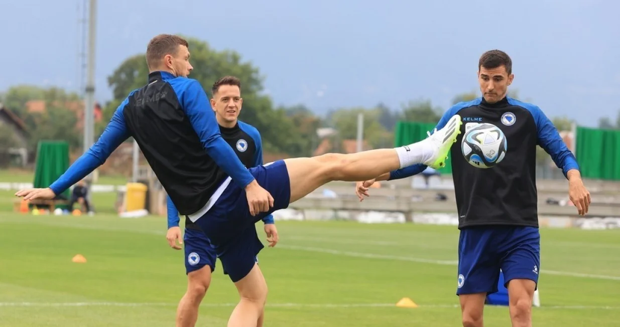 Edin Džeko Amir HadžiahmetovićHrvoje Miličević 