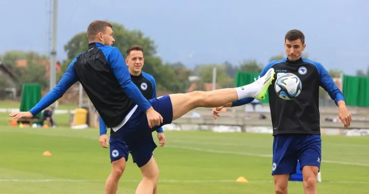 Edin Džeko Amir HadžiahmetovićHrvoje Miličević 