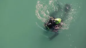 Ronioci u opsežnoj akciji/Hercegovina.info/