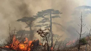 Alarmirani vatrogasci/Ilustracija/Fena//