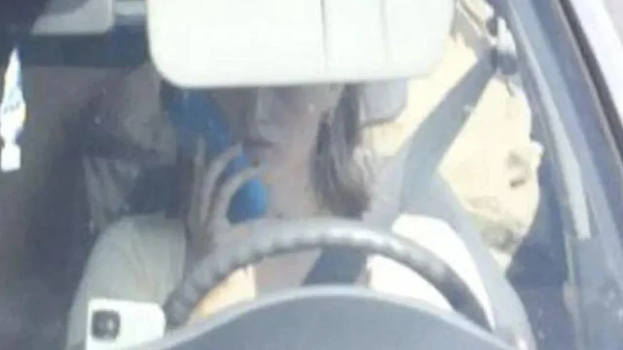 Vozačica iz Nizozemske tvrdi da je kažnjena nepravedno/Reddit