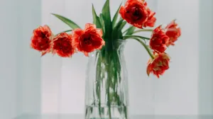 Izgleda lijepo, ali cvijeću smeta/Pexels