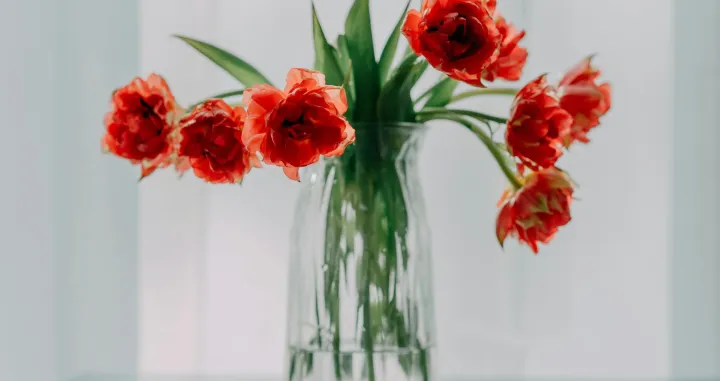 Izgleda lijepo, ali cvijeću smeta/Pexels