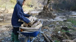 mještani skupljaju drva/Muhamed Tunović