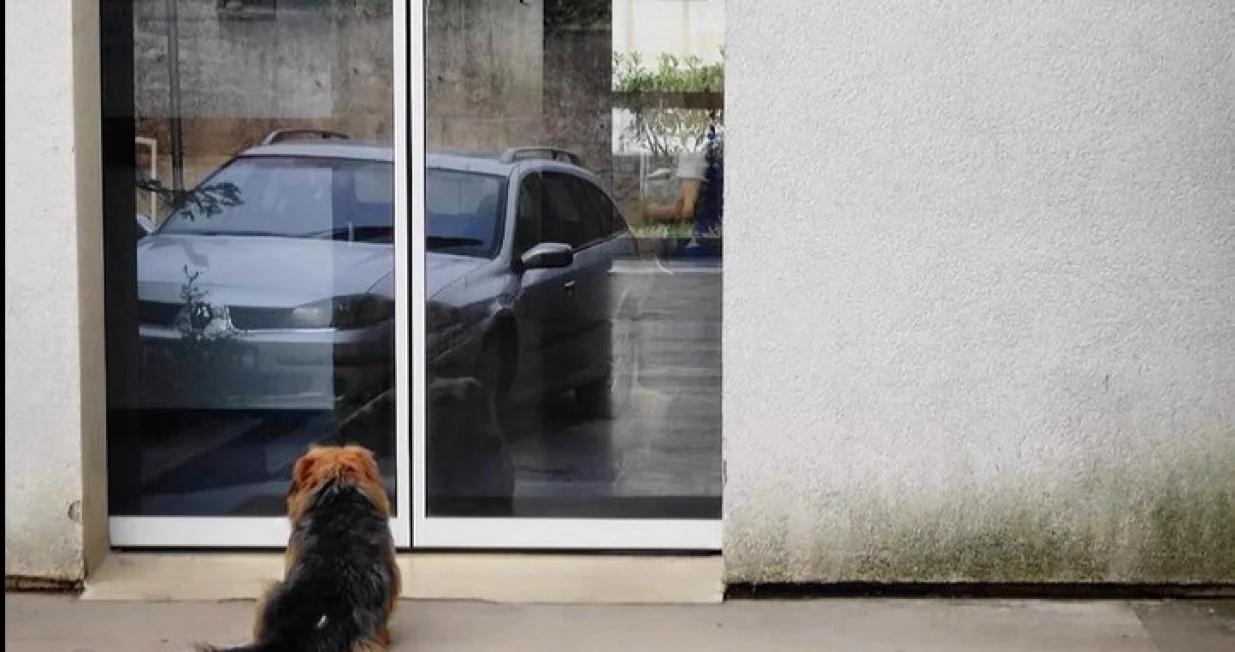 Jedan trenutak a u njemu cijeli život/Facebook/Facebook