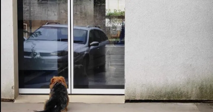 Jedan trenutak a u njemu cijeli život/Facebook/Facebook