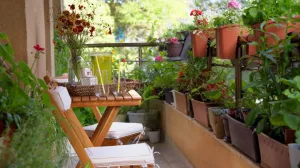 balkonsko cvijeće balkon/