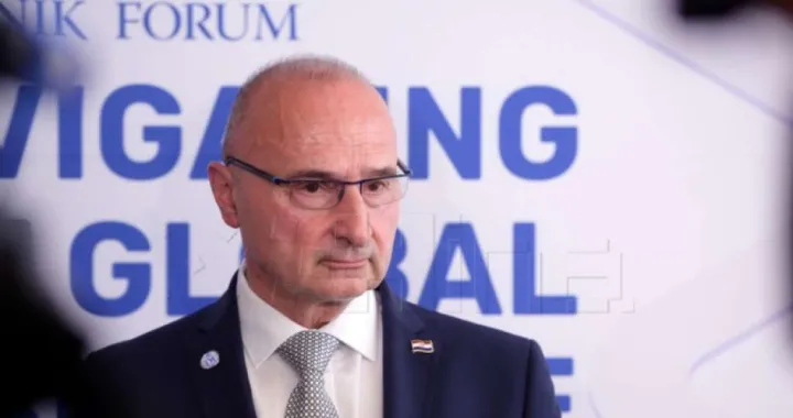 Gordan Grlić Radman/