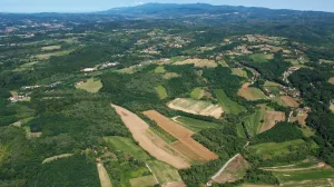 Glamočani kod Banje Luke/Detektor/