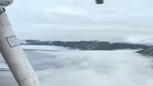 Okončana potraga/X.com//