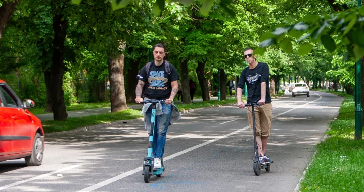 Trintoneti na Vilsonovom/Damir Deljo