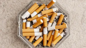 Brzo, jednostavno i trajno/Free Pik