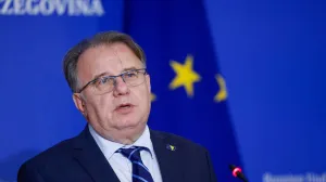 Nikšić: Svi imamo svoje prioritete/Damir Deljo