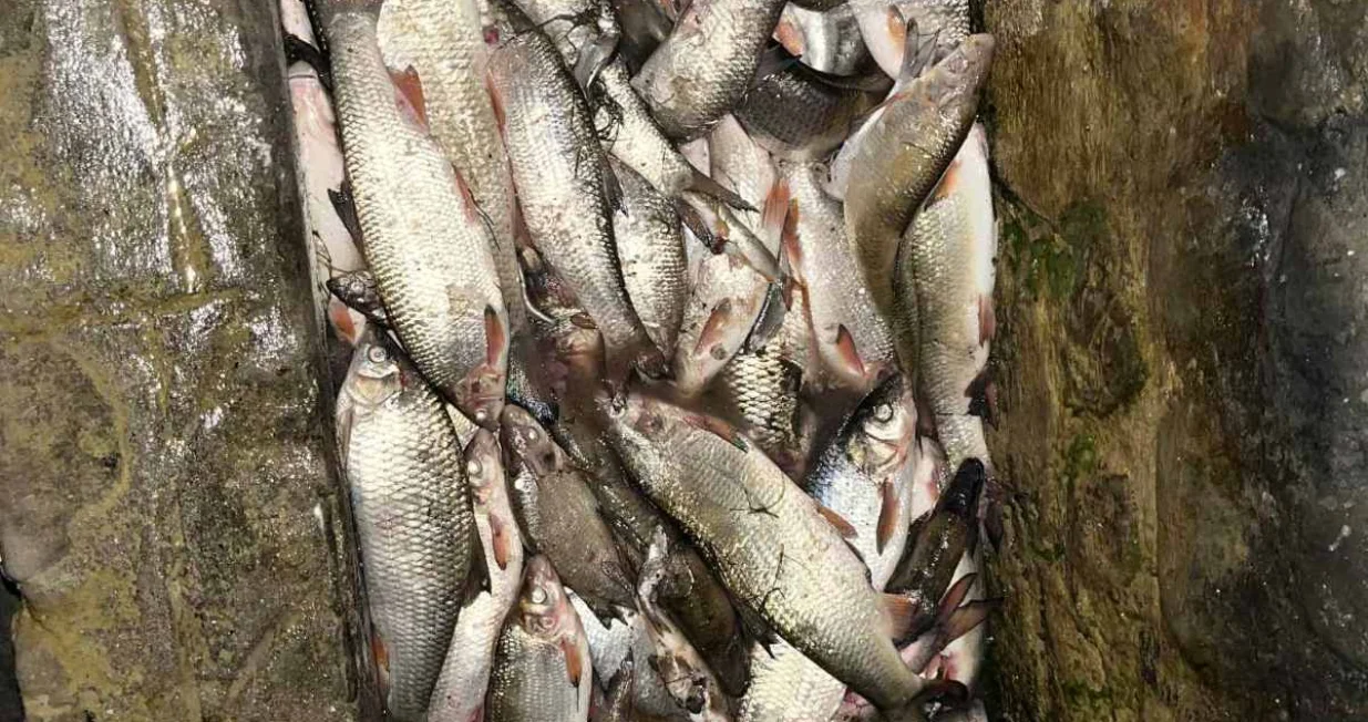 ekocid Zenica/Almir Ćatić