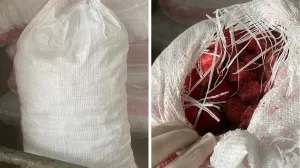 Zabranjen uvoz 22 tone smrznutih jagoda u BiH//