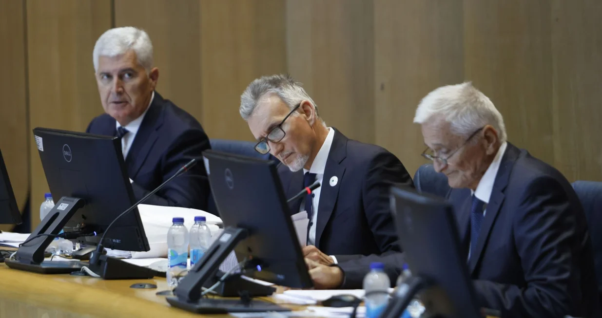 Dom naroda PSBiH/Fena