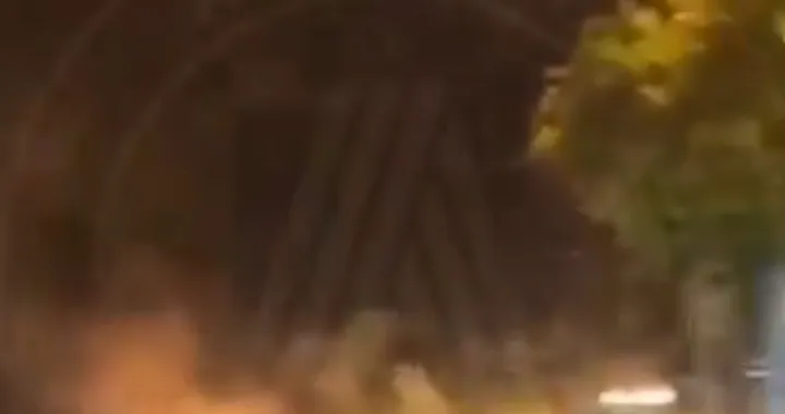 neredi u Francuskoj/Screen Shot Xcom