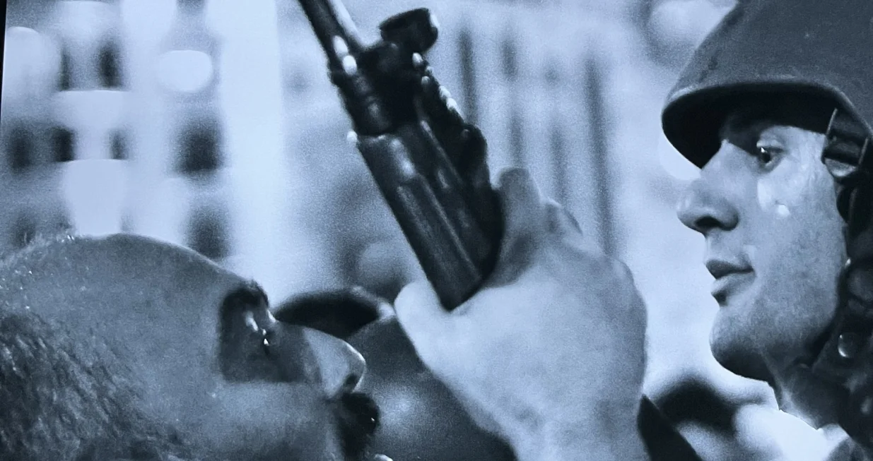 Državni udar Turska/Dženisa Zukančić