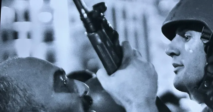 Državni udar Turska/Dženisa Zukančić