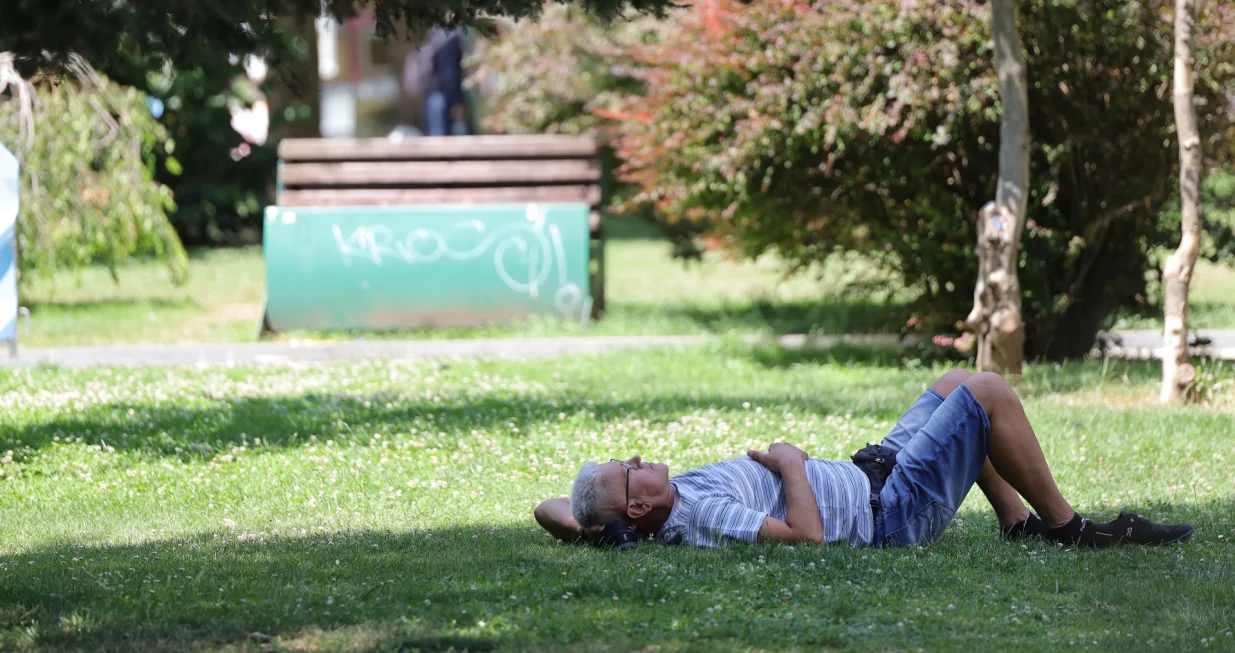 vrućina hladovina odmaranje/Senad Gubelić