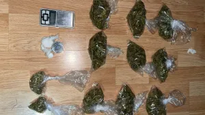 Akcija Merci, pronađena droga na Ilidži//