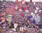 epa09964024 Fiorentina's supporters cheer for their team during the Italian Serie A soccer match ACF Fiorentina vs Juventus FC at Artemio Franchi Stadium in Florence, Italy, 21 May 2022. EPA/CLAUDIO GIOVANNINI