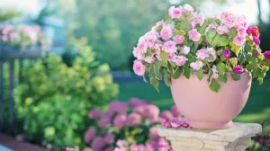 Ovaj trik spašava cvijeće i po paklenim danima/Pexels