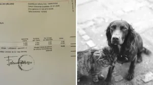 Ilustracija/ Oslobodjenje/