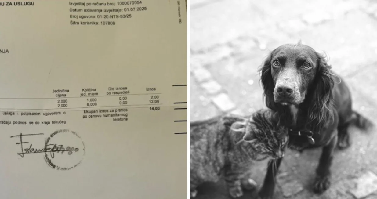 Ilustracija/ Oslobodjenje/