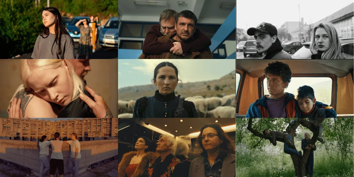 Igrani filmovi, 31. Sarajevo Film Festival//