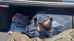 akcija insajder, zaplijenjeno 27 kg marihuane/Nezavisne novine/Nezavisne Novine