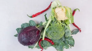 Bogato vlaknima i antioksidansima/Free Pik