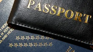 BH pasoš ilustracija/Damir Deljo