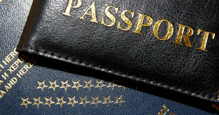 BH pasoš ilustracija/Damir Deljo