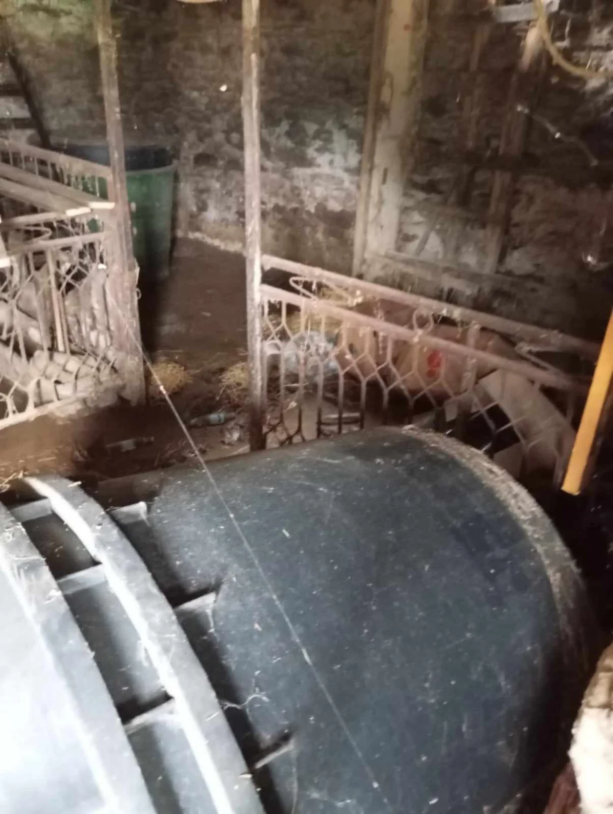 Dajana Majić, Fojnica/