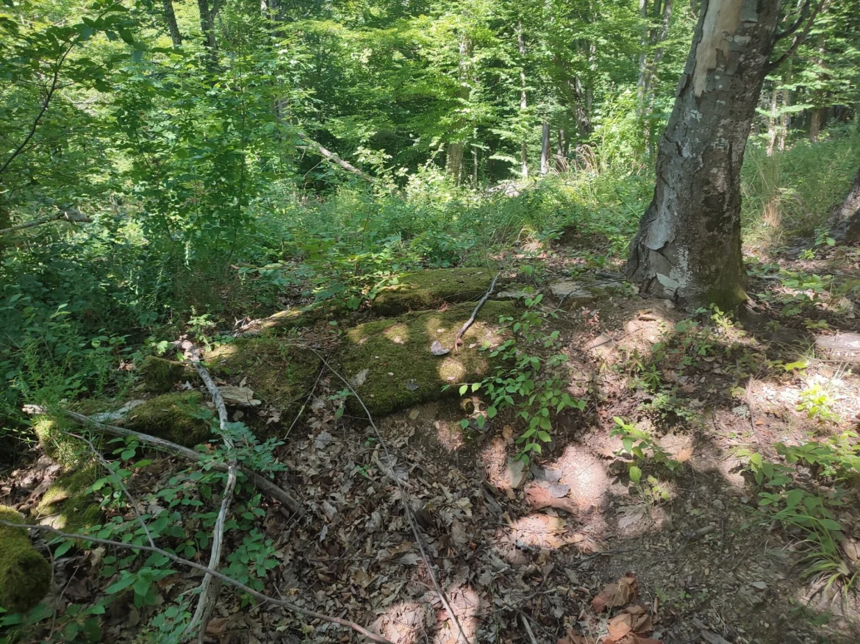 Na području Bosanske Otoke, koja je ime dobila po rimskom gradu Insula (otok) na adi rijeke Une, Fondacija "Čuvari baštine – Bassania" pronašla je dosad neevidentiranu japodsku gradinu pod nazivom "Humka", u selu Godna; pronađeni su i ostaci kamenih latinskih natpisa iz rimskog hrama u selu Ivanjska//