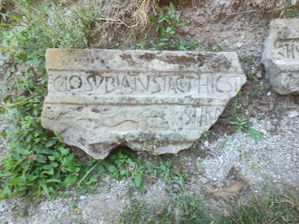 Na području Bosanske Otoke, koja je ime dobila po rimskom gradu Insula (otok) na adi rijeke Une, Fondacija "Čuvari baštine – Bassania" pronašla je dosad neevidentiranu japodsku gradinu pod nazivom "Humka", u selu Godna; pronađeni su i ostaci kamenih latinskih natpisa iz rimskog hrama u selu Ivanjska//