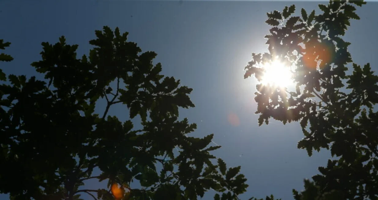 saharski pijesak ljeto vrućina/Ilustracija/Miomir Jakovljevic